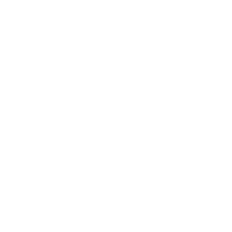 Rixsols — AI and software development company logo